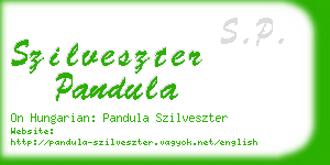 szilveszter pandula business card